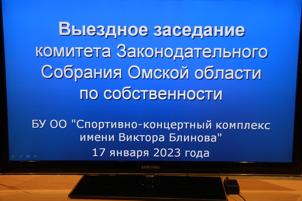 Депутаты обсудили деятельность СКК им. В. Блинова